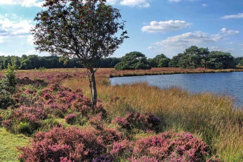 Drentse bungalow in natuur en rust Spier Buitenkant foto