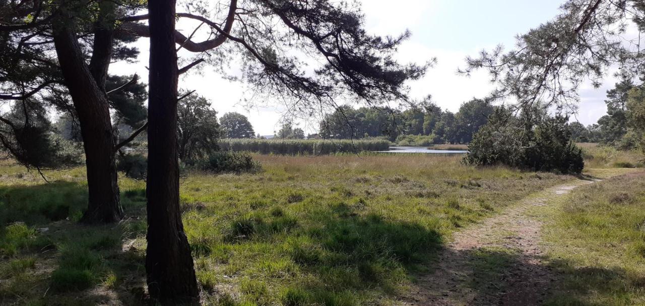 Drentse bungalow in natuur en rust Spier Buitenkant foto