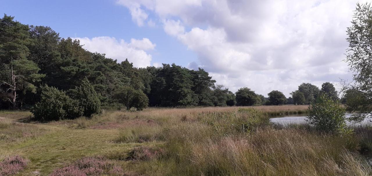 Drentse bungalow in natuur en rust Spier Buitenkant foto
