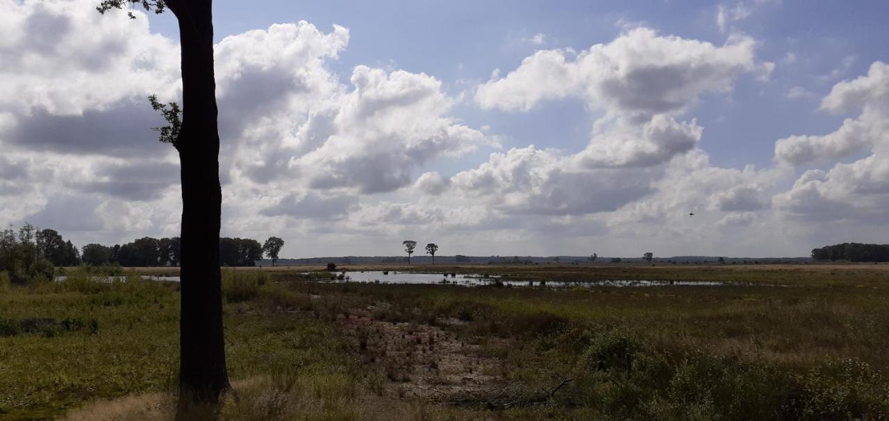 Drentse bungalow in natuur en rust Spier Buitenkant foto